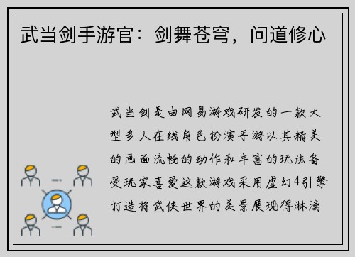 武当剑手游官：剑舞苍穹，问道修心