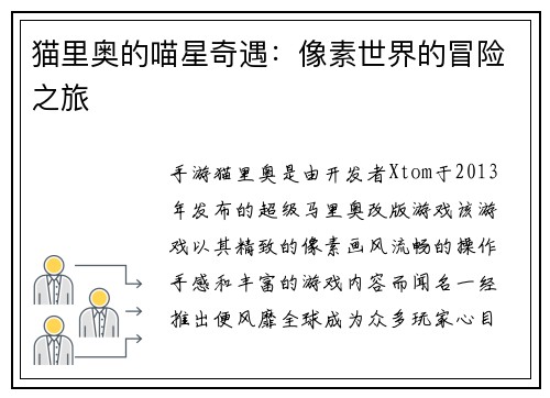 猫里奥的喵星奇遇：像素世界的冒险之旅