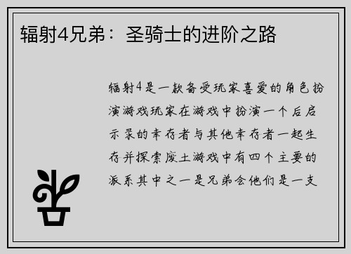辐射4兄弟：圣骑士的进阶之路