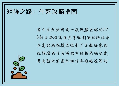 矩阵之路：生死攻略指南